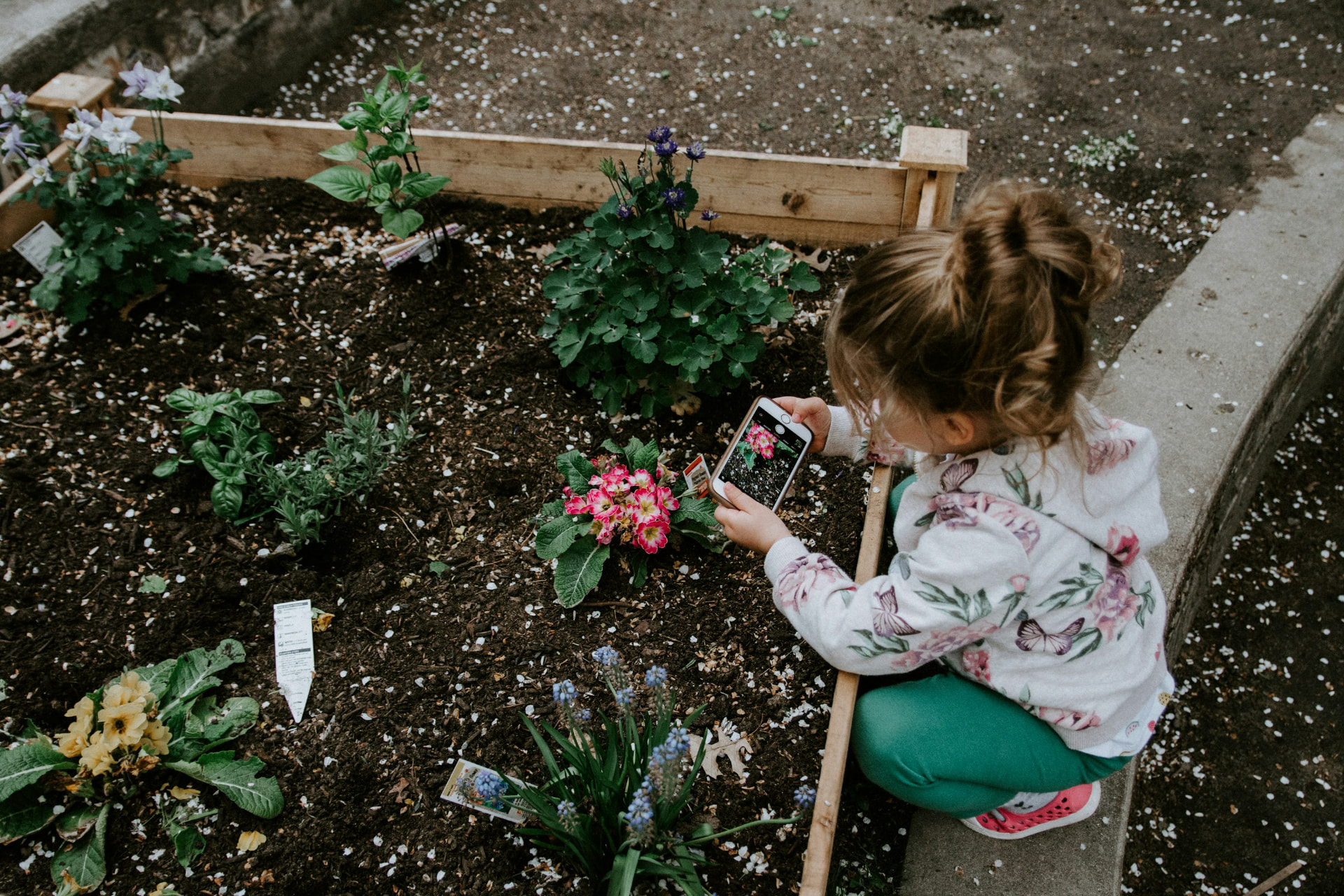 Illustrative image of a community garden